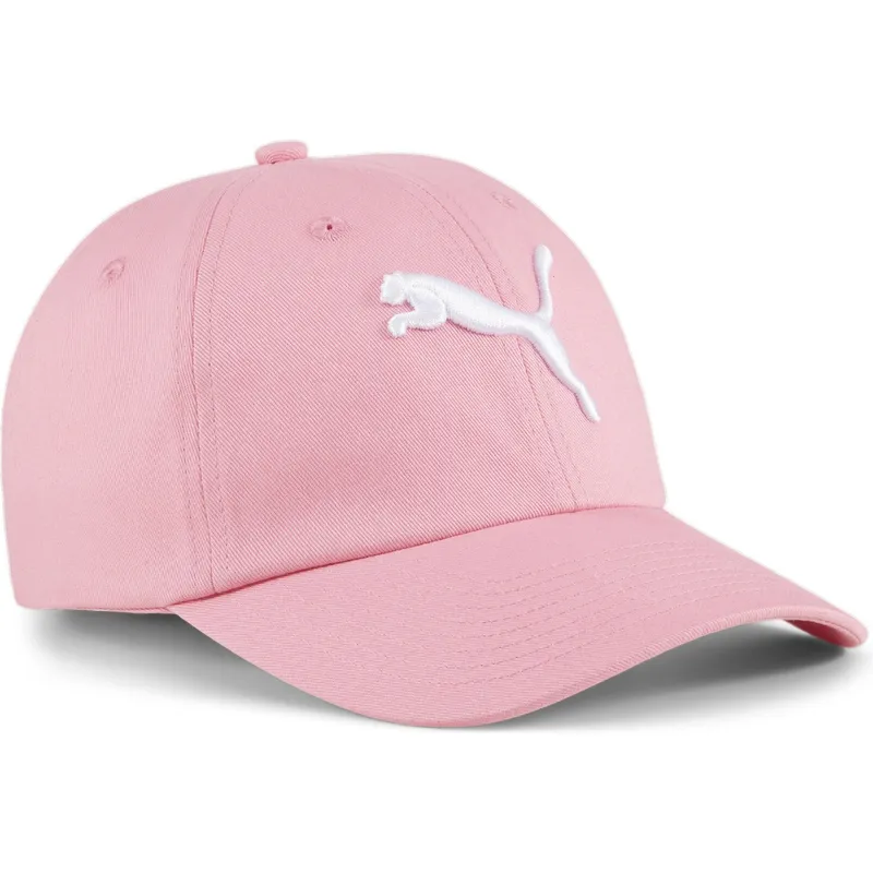 curva-puma