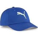 curva-puma