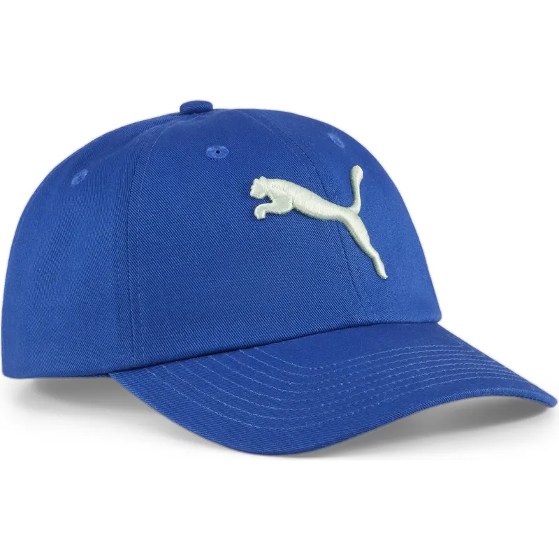 curva-puma curva-puma