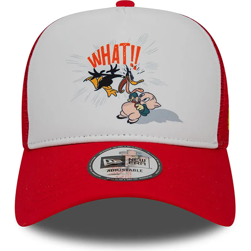 curva-snapback-a-frame-character-pato-lucas-y-porky-pig-looney-tunes-new-era
