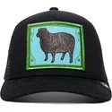 curva-snapback-the-farm-goorin-bros
