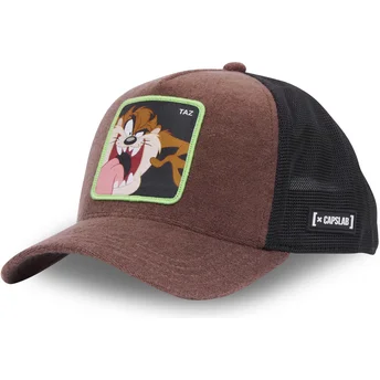 Καπέλα καμπύλη καφέ snapback Διάβολος της Τασμανίας Looney Tunes από Capslab