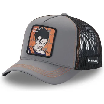 Καπέλα καμπύλη γκρι snapback Ultimate DBZ8 GOH Σον Γκοχάν Dragon Ball από Capslab