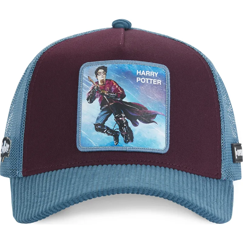 curva-snapback-harry-potter-harry-potter-capslab