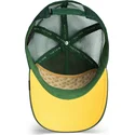 curva-snapback-the-farm-goorin-bros