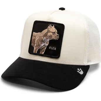 curva-snapback-the-farm-goorin-bros