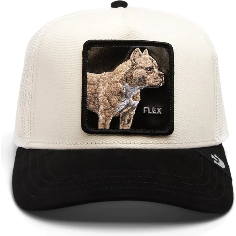 curva-snapback-the-farm-goorin-bros