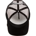trucker-chihuahua-the-amigo-eco-brutalism-the-farm-goorin-bros