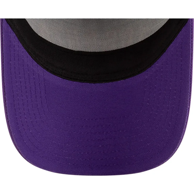 trucker-a-frame-classic-toronto-raptors-nba-new-era