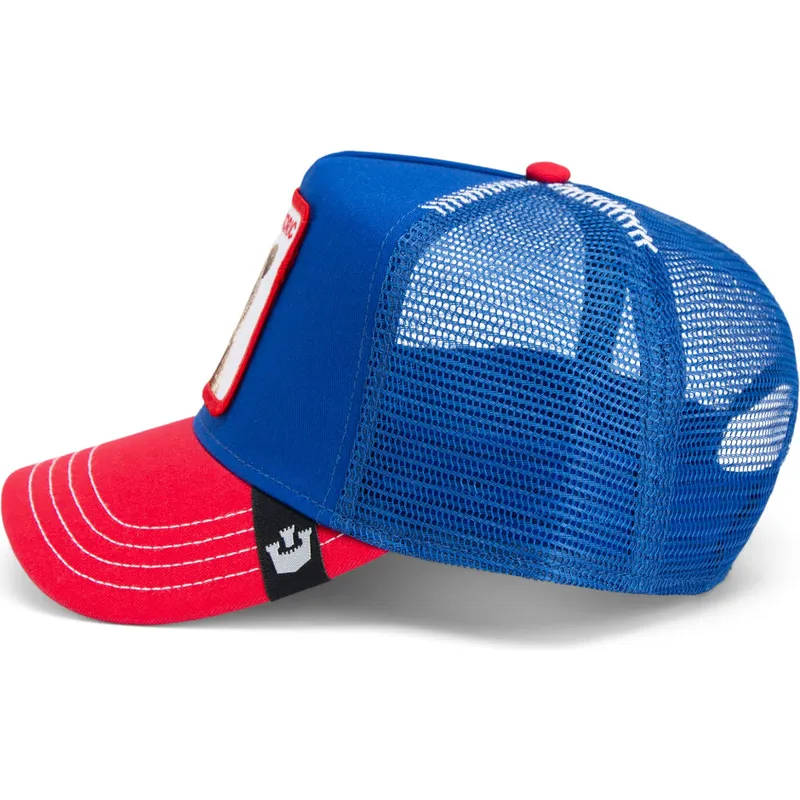 curva-snapback-the-farm-goorin-bros