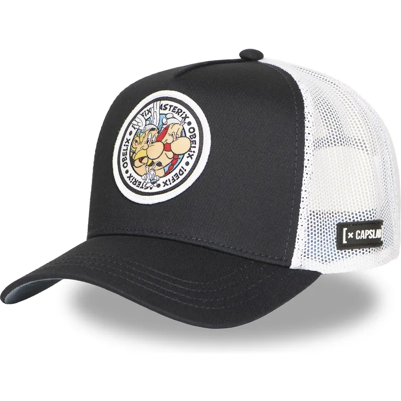 trucker-asterix-obelix-idefix-ast2-crw-asterix-capslab