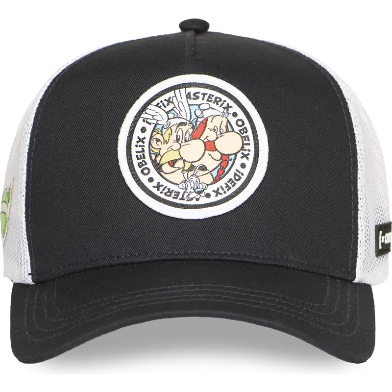 trucker-asterix-obelix-idefix-ast2-crw-asterix-capslab
