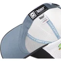 trucker-asterix-obelix-idefix-ast2-crw-asterix-capslab