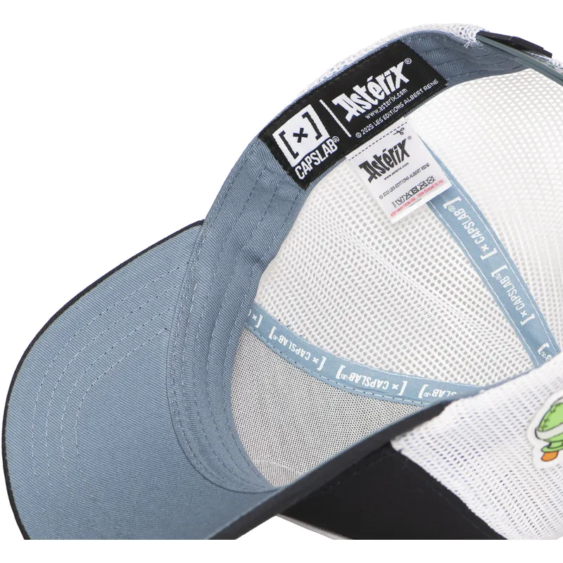 trucker-asterix-obelix-idefix-ast2-crw-asterix-capslab