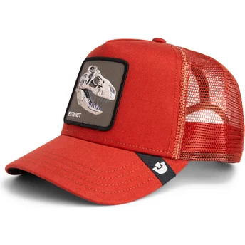 Καπέλα καμπύλη κόκκινο snapback The Extinct Skull Grit...