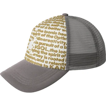 Καπέλα καμπύλη γκρι snapback Fine Print από Kangol