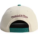 mitchell-ness-flat-brim-across-the-board-anaheim-ducks-nhl-green-and-beige-snapback-cap
