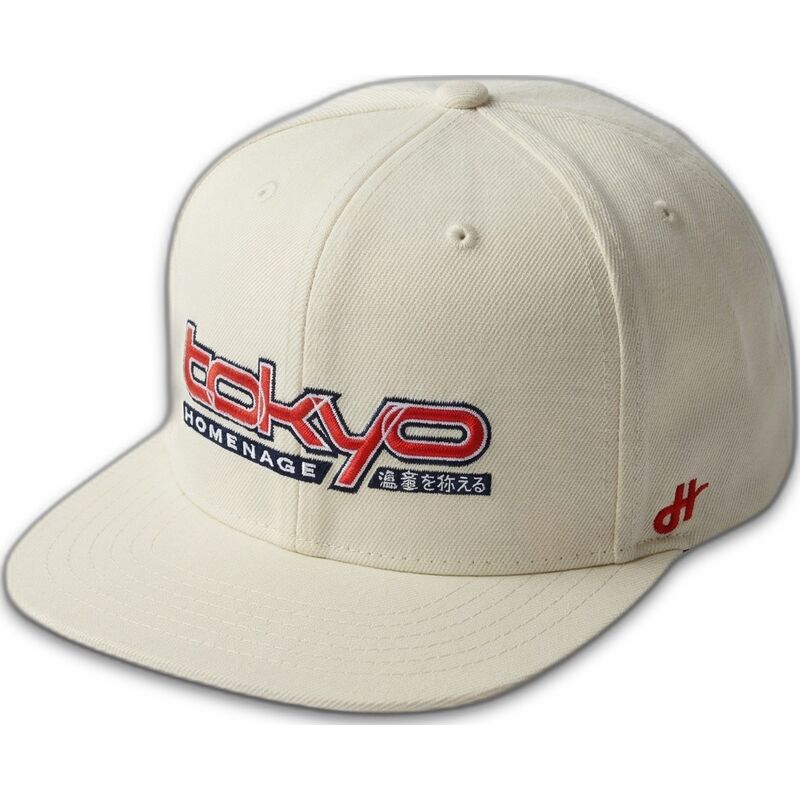 snapback-tkysky-skylines-the-snap-homenage