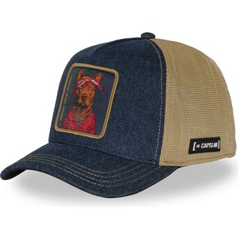 Καπέλα καμπύλη πολύχρωμο snapback West Side Story WESB...