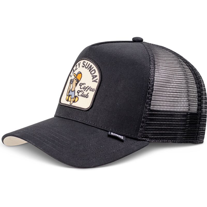 snapback-hft-skaterboy-djinns
