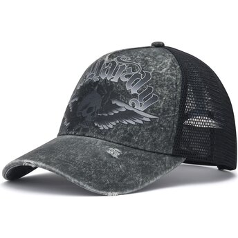 Καπέλα καμπύλη γκρι snapback Flaming Gothic Skull Washed από Ed Hardy