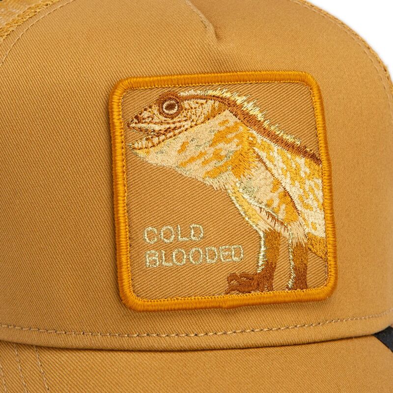 snapback-circle-of-life-cold-blooded-tone-shift-the-farm-goorin-bros