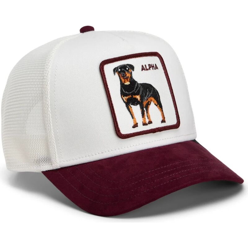 snapback-suede-alpha-microsuede-the-farm-goorin-bros snapback-suede-alpha-microsuede-the-farm-goorin-bros