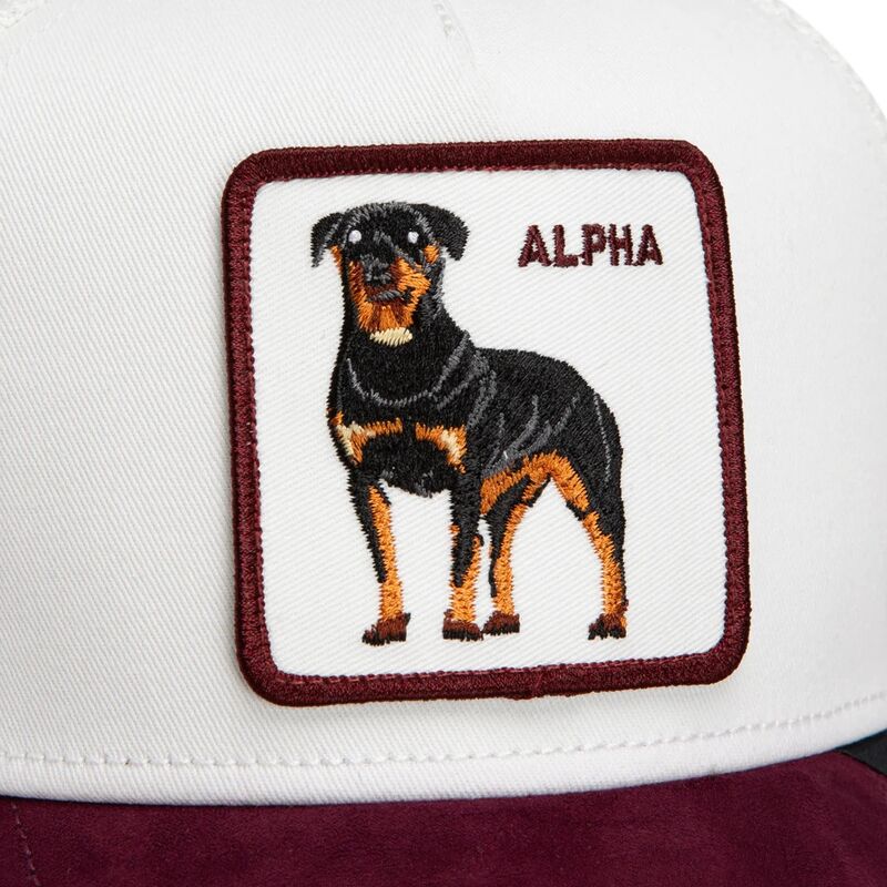 snapback-suede-alpha-microsuede-the-farm-goorin-bros snapback-suede-alpha-microsuede-the-farm-goorin-bros