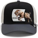 snapback-banger-migration-the-farm-goorin-bros