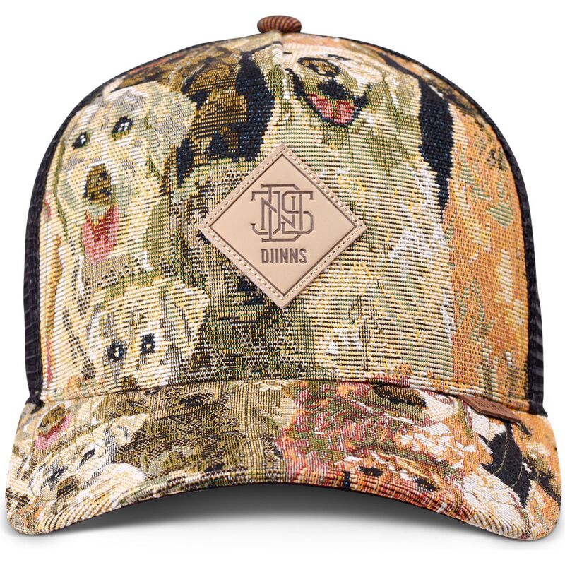 snapback-hft-crasy-sofa-dogs-djinns